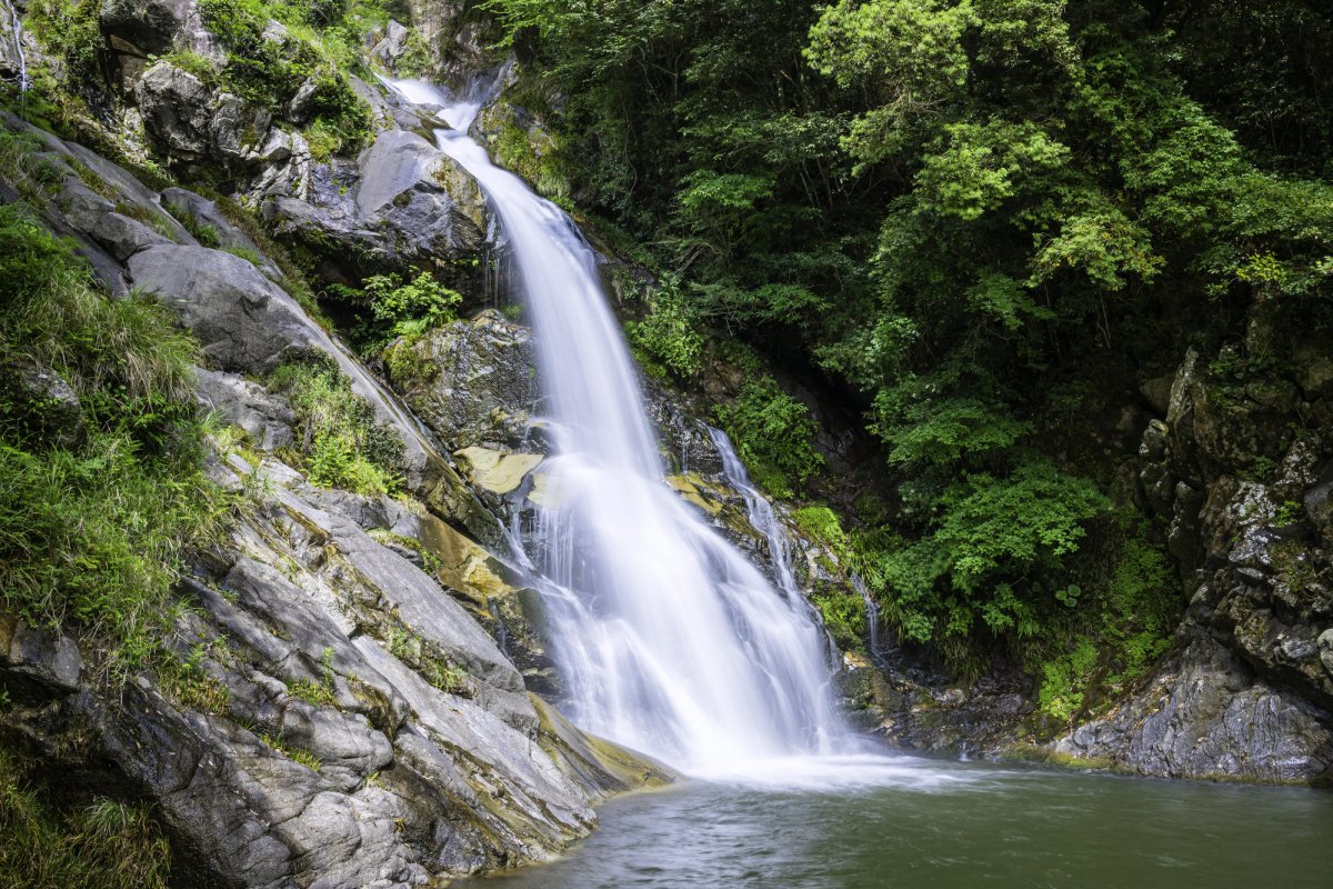 🏞️ 되돌아보는 폭포(미카에리노타키) 이미지 8